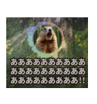 ショート動画の人々：静止画スタンプ（個別スタンプ：40）