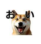 動く ふつつかな犬（個別スタンプ：7）