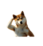 動く ふつつかな犬（個別スタンプ：8）