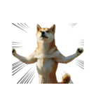 動く ふつつかな犬（個別スタンプ：12）