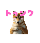 動く ふつつかな犬（個別スタンプ：13）