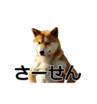 動く ふつつかな犬（個別スタンプ：15）