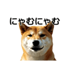 動く ふつつかな犬（個別スタンプ：22）