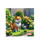 柴犬の新日常10（個別スタンプ：9）