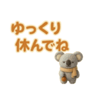 ずっと使える♪ ぬいぐるみと大きな文字（個別スタンプ：15）