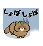 飛び出す！ポンコツたぬきさん（個別スタンプ：23）