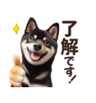 黒柴【リアル02】年中つかえる、冬も使える（個別スタンプ：1）