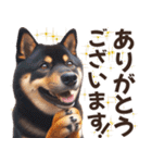 黒柴【リアル02】年中つかえる、冬も使える（個別スタンプ：5）