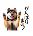 黒柴【リアル02】年中つかえる、冬も使える（個別スタンプ：10）