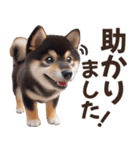 黒柴【リアル02】年中つかえる、冬も使える（個別スタンプ：16）