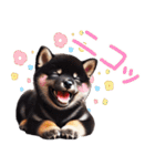 黒柴【リアル02】年中つかえる、冬も使える（個別スタンプ：17）