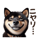 黒柴【リアル02】年中つかえる、冬も使える（個別スタンプ：20）