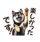 黒柴【リアル02】年中つかえる、冬も使える（個別スタンプ：24）