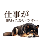 黒柴【リアル02】年中つかえる、冬も使える（個別スタンプ：28）