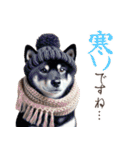 黒柴【リアル02】年中つかえる、冬も使える（個別スタンプ：29）