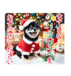 黒柴【リアル02】年中つかえる、冬も使える（個別スタンプ：32）