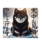 黒柴【リアル02】年中つかえる、冬も使える（個別スタンプ：34）