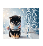黒柴【リアル02】年中つかえる、冬も使える（個別スタンプ：35）