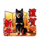 黒柴【リアル02】年中つかえる、冬も使える（個別スタンプ：37）