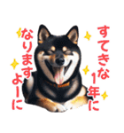 黒柴【リアル02】年中つかえる、冬も使える（個別スタンプ：39）