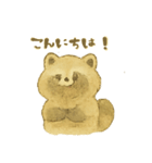 水彩たぬきち。（個別スタンプ：1）