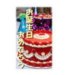 ハピバ♥BIGスタンプ 実写風（個別スタンプ：16）