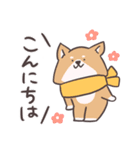 わんこーず集5(ゆるい冬)（個別スタンプ：3）