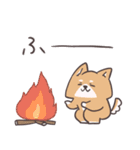 わんこーず集5(ゆるい冬)（個別スタンプ：38）