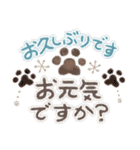 寒い冬に使える！肉球の挨拶（個別スタンプ：3）