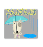 ブルテリア錦四郎01大阪（個別スタンプ：15）