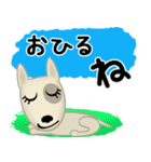 ブルテリア錦四郎01大阪（個別スタンプ：19）