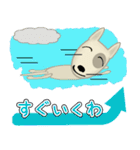 ブルテリア錦四郎01大阪（個別スタンプ：32）