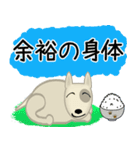 ブルテリア錦四郎01大阪（個別スタンプ：35）