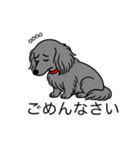 名前入りダックスロングソリッドブルー（個別スタンプ：2）