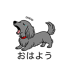 名前入りダックスロングソリッドブルー（個別スタンプ：3）