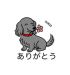 名前入りダックスロングソリッドブルー（個別スタンプ：5）