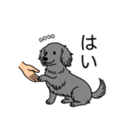 名前入りダックスロングソリッドブルー（個別スタンプ：6）