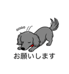 名前入りダックスロングソリッドブルー（個別スタンプ：7）