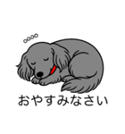 名前入りダックスロングソリッドブルー（個別スタンプ：9）