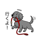 名前入りダックスロングソリッドブルー（個別スタンプ：11）