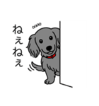 名前入りダックスロングソリッドブルー（個別スタンプ：12）