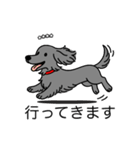 名前入りダックスロングソリッドブルー（個別スタンプ：13）