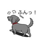 名前入りダックスロングソリッドブルー（個別スタンプ：14）