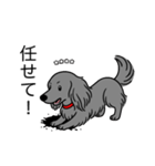 名前入りダックスロングソリッドブルー（個別スタンプ：15）