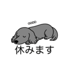 名前入りダックスロングソリッドブルー（個別スタンプ：16）