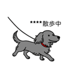 名前入りダックスロングソリッドブルー（個別スタンプ：17）