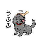 名前入りダックスロングソリッドブルー（個別スタンプ：19）