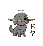 名前入りダックスロングソリッドブルー（個別スタンプ：21）