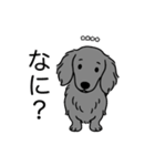 名前入りダックスロングソリッドブルー（個別スタンプ：22）