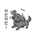 名前入りダックスロングソリッドブルー（個別スタンプ：23）